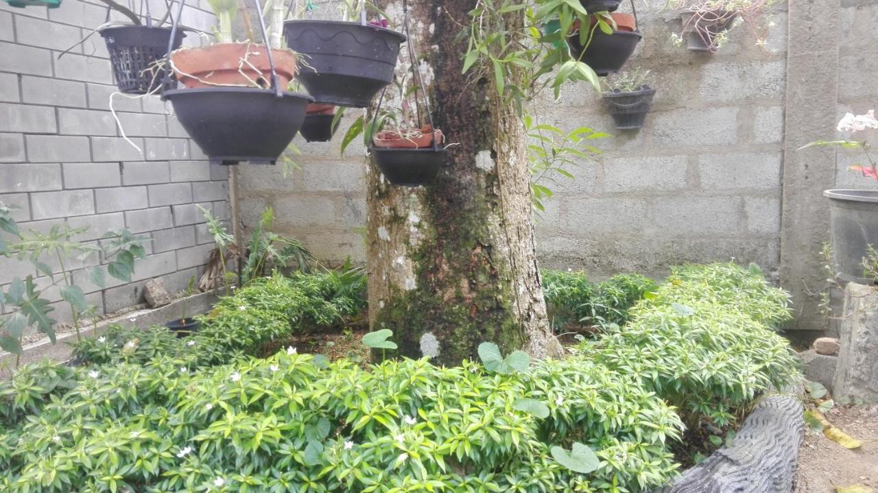 Mango Roots Apartment Gampaha Exterior photo